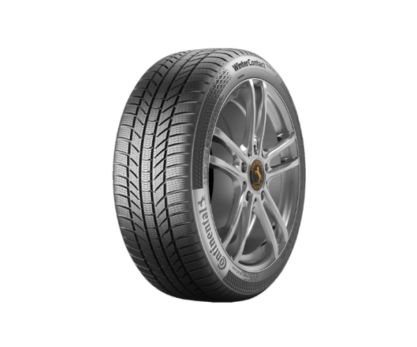 CONTİNENTAL 245/45R18 100V XL FR TS 870 P KIŞ LASTİĞİ LTRC355694